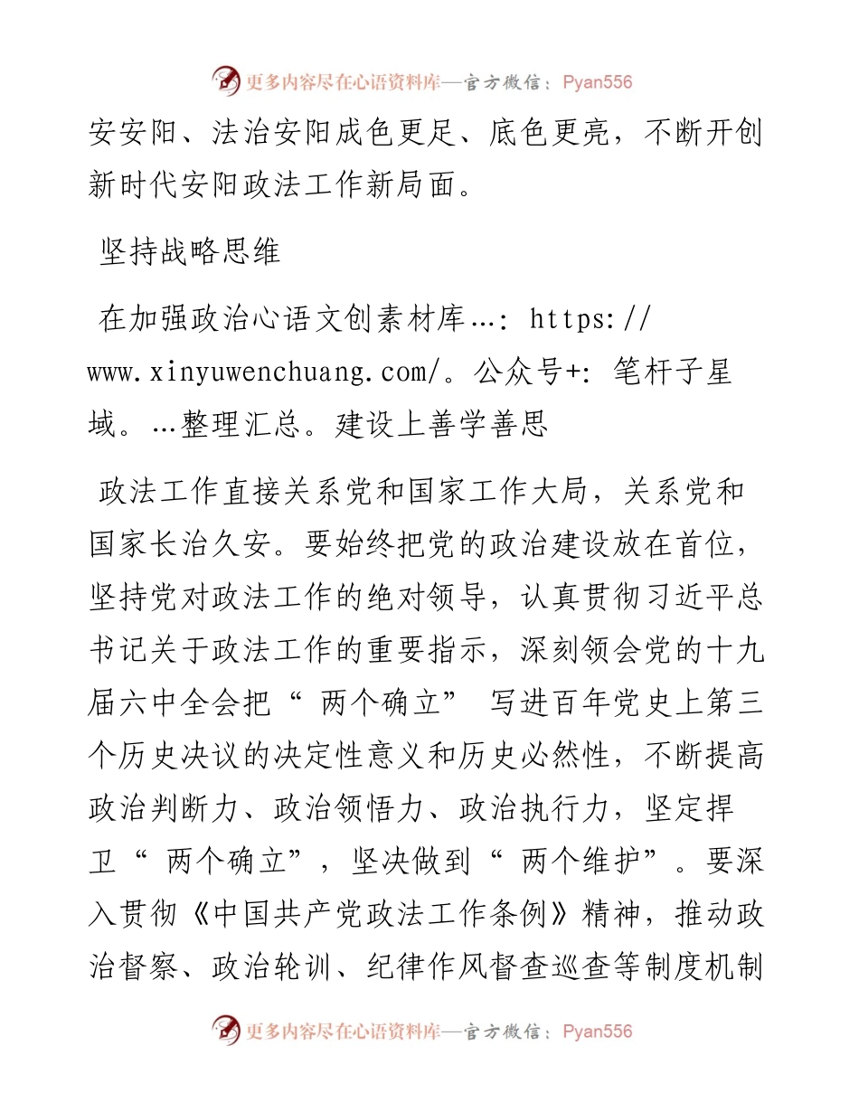 .02.17安阳市委常委、政法委书记王朴：善治善为善作善成推动政法工作高质量发展.docx_第2页
