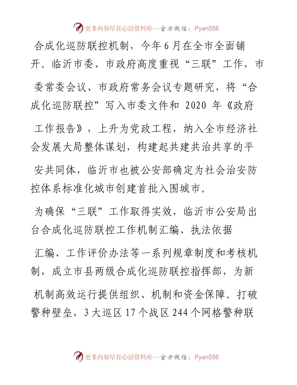 .12.15临沂市副市长、市公安局局长李登全：共绘三联合成化巡防联控新蓝图.docx_第2页