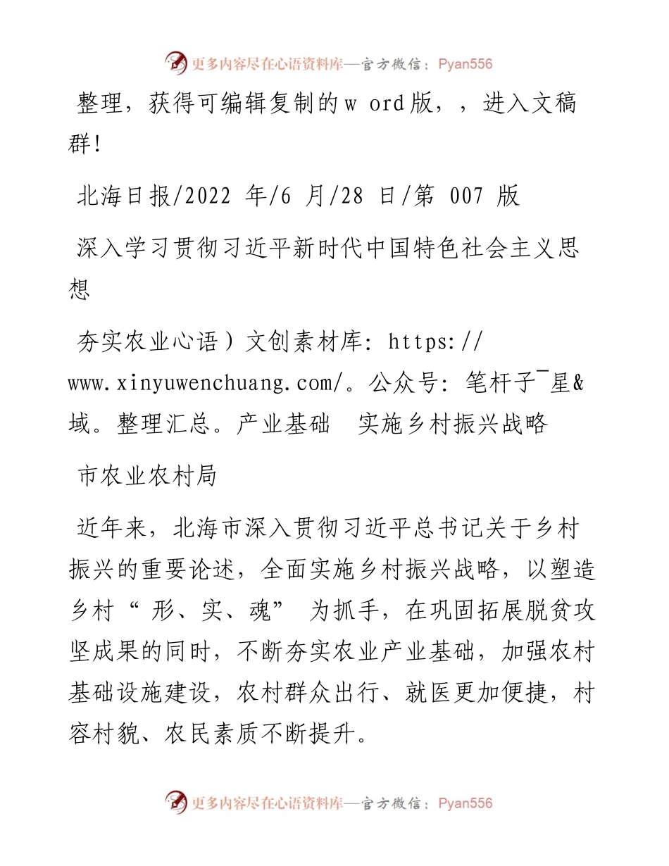 .06.28市农业农村局：夯实农业产业基础实施乡村振兴战略.docx_第1页