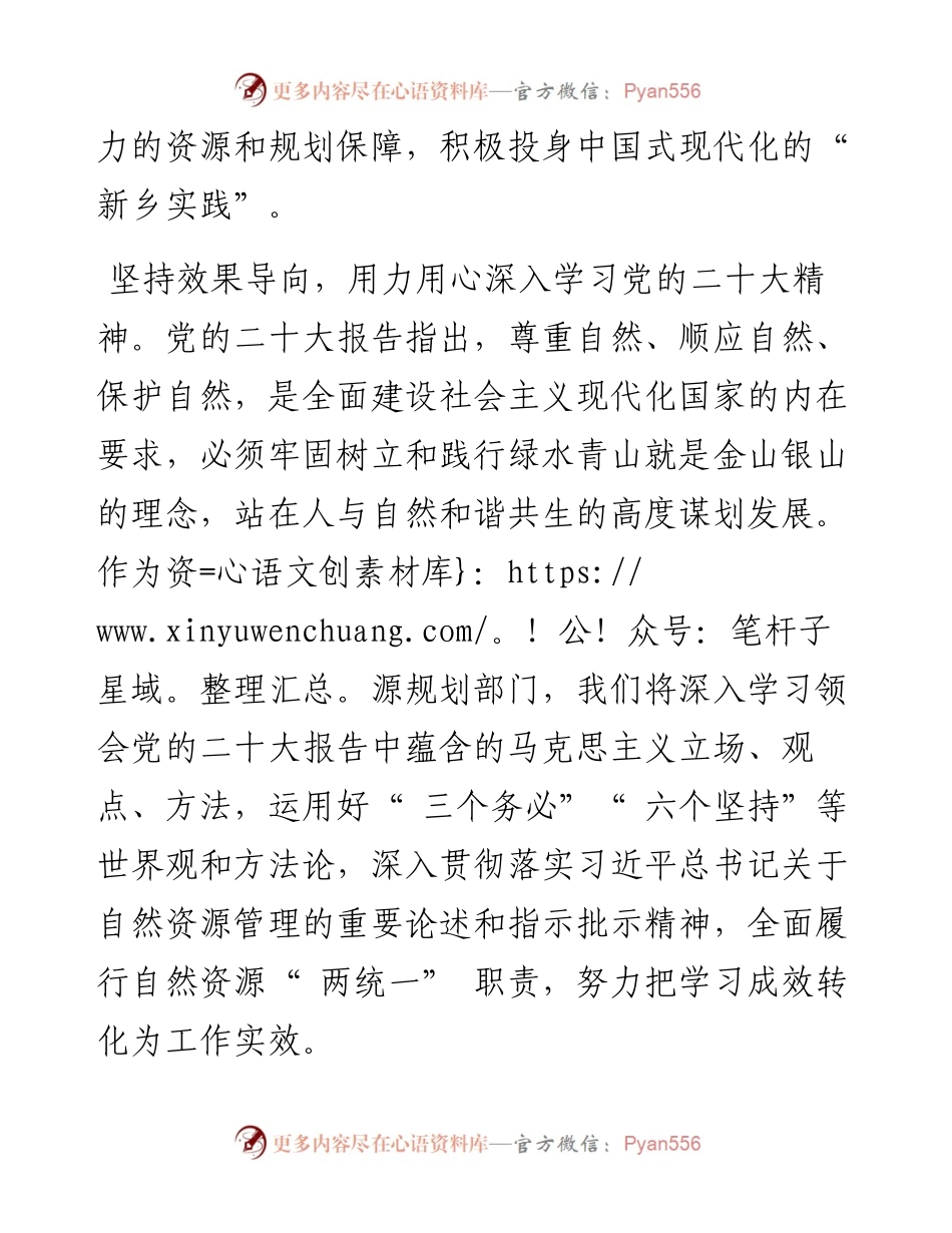 .11.24市自然资源和规划局局长王志勇：以更加有力的资源规划保障积极投身中国式现代化新乡实践.docx_第2页