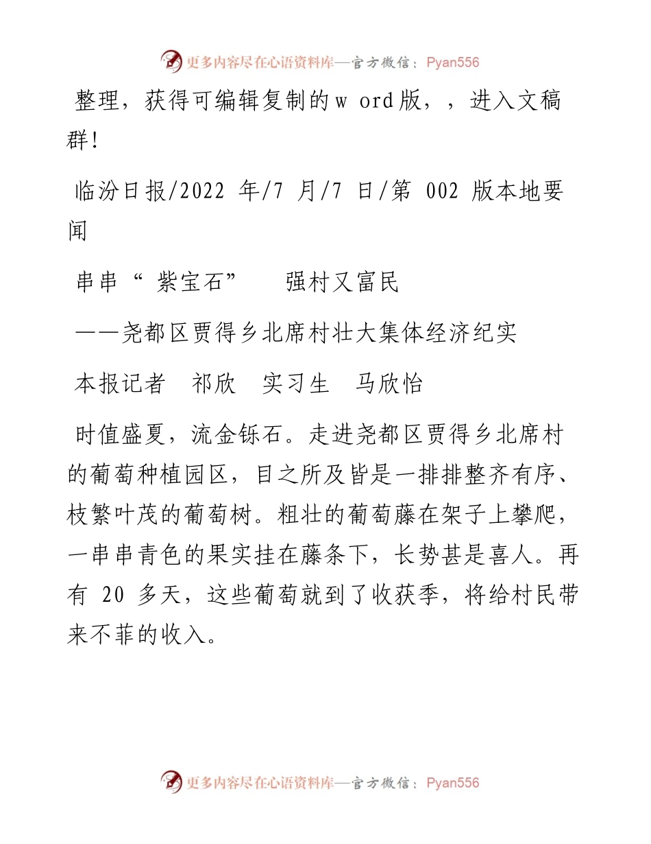 .07.07本报记者祁欣实习生马欣怡：串串紫宝石强村又富民.docx_第1页