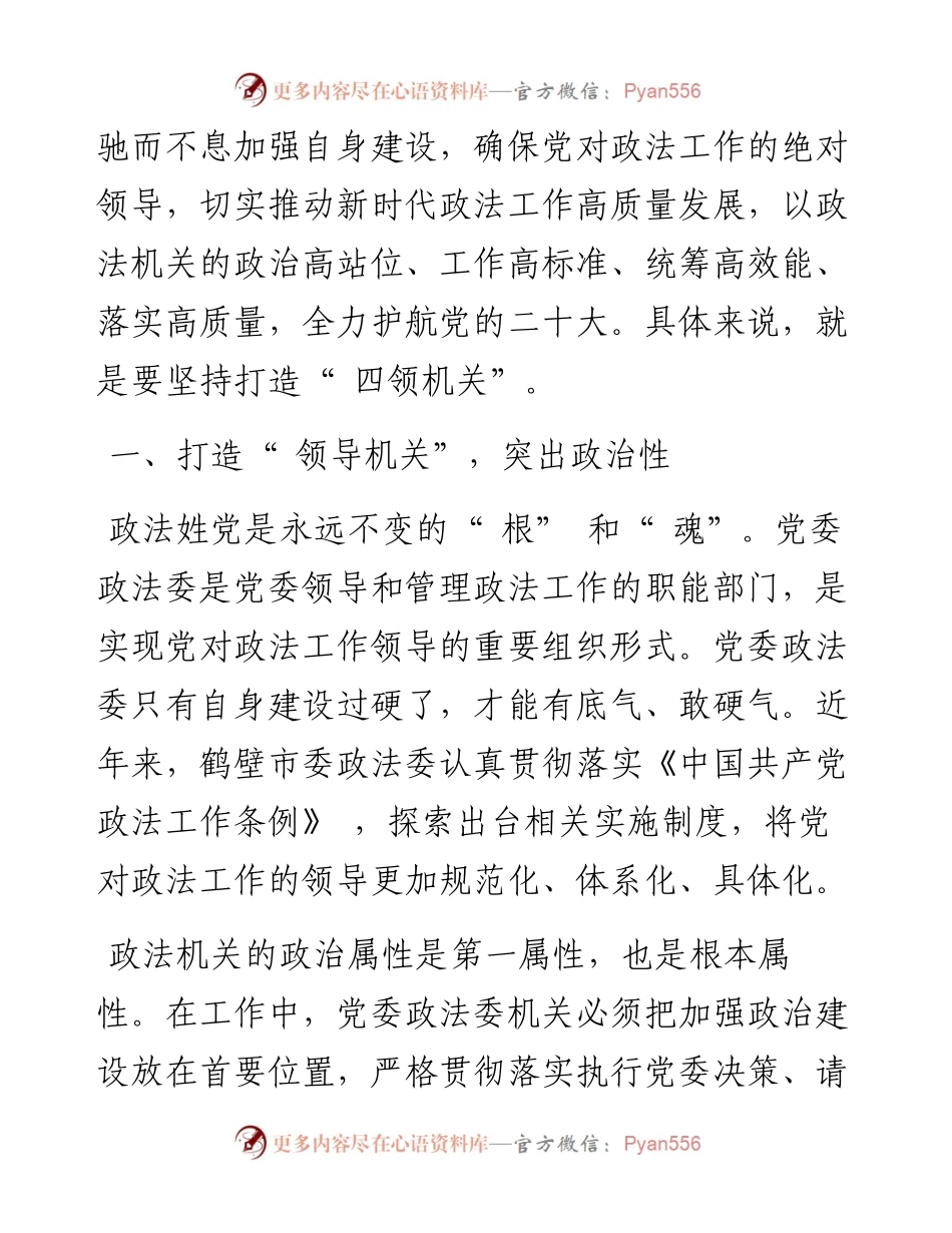 .05.23王永青河南省鹤壁市委常委、政法委书记：强化党委政法委自身建设.docx_第2页