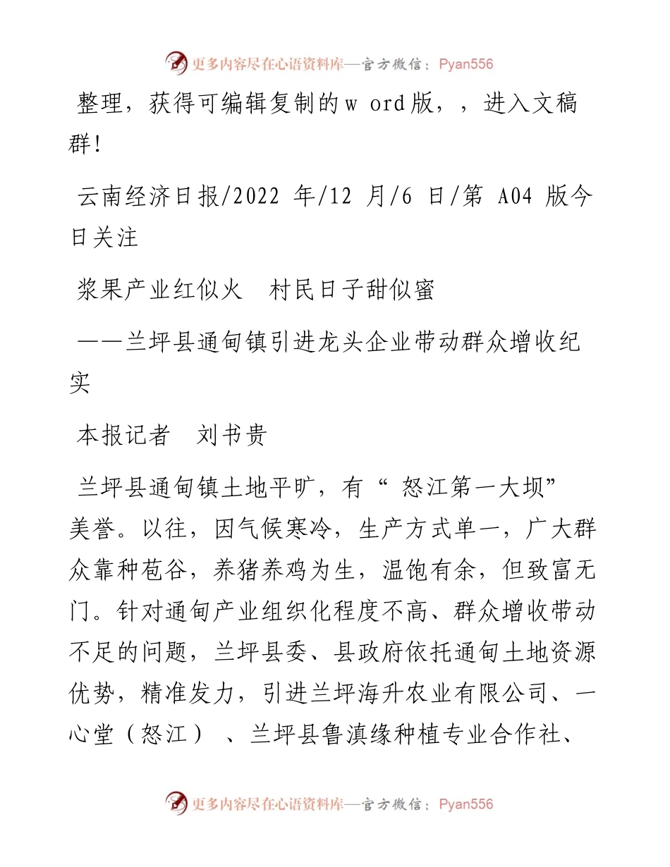 .12.06本报记者刘书贵：浆果产业红似火村民日子甜似蜜.docx_第1页