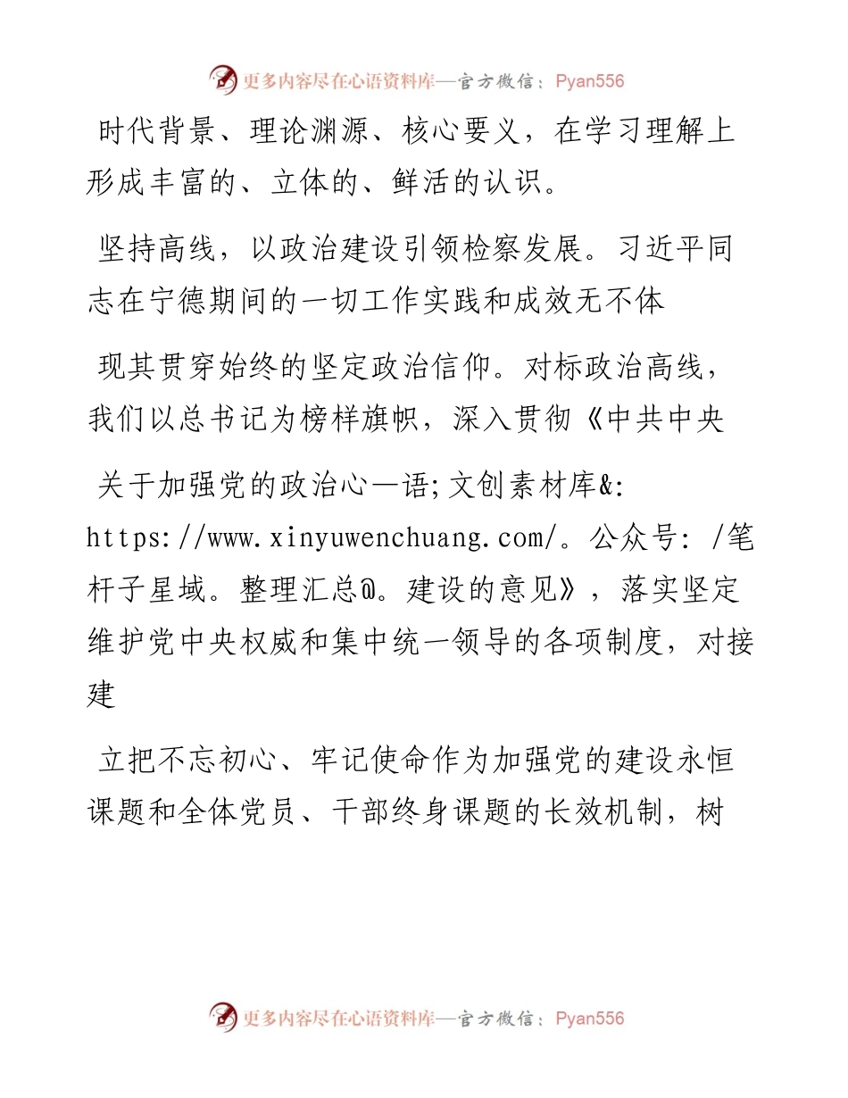 .04.24市检察院党组理论学习中心组：坚守为民初心践行检察使命.docx_第2页
