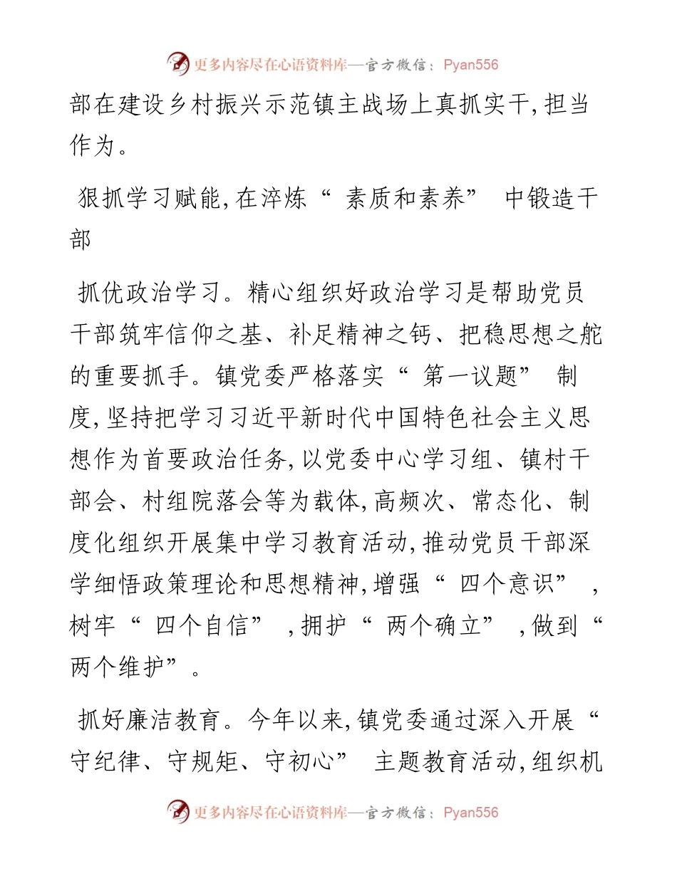 .06.08旬阳市蜀河镇党委书记陈浩：三能问效激活力加快推进示范镇建设.docx_第2页