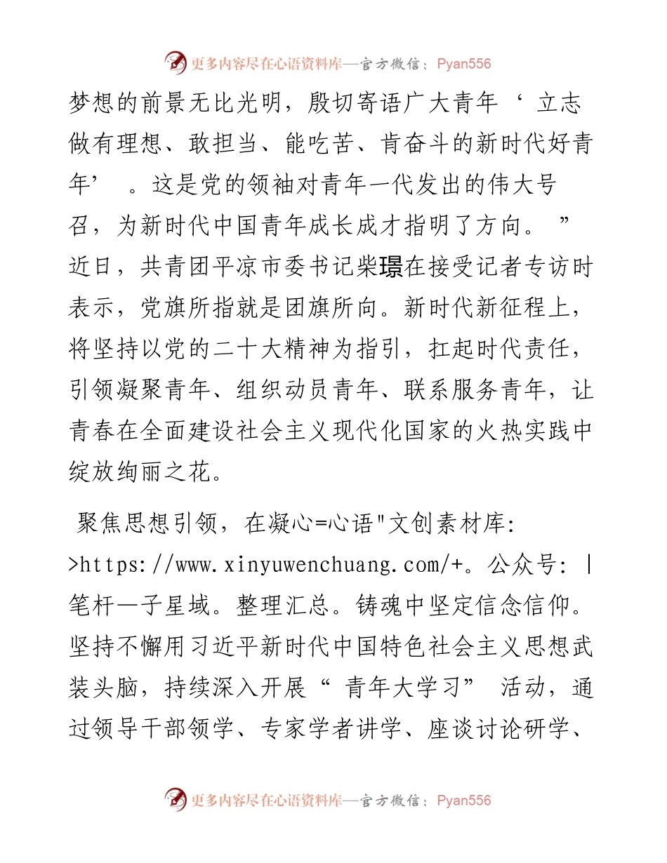 .12.04坚持以党的二十大精神引领青年凝聚青年服务青年让青春在新征程的火热实践中绽放绚丽之花.docx_第2页