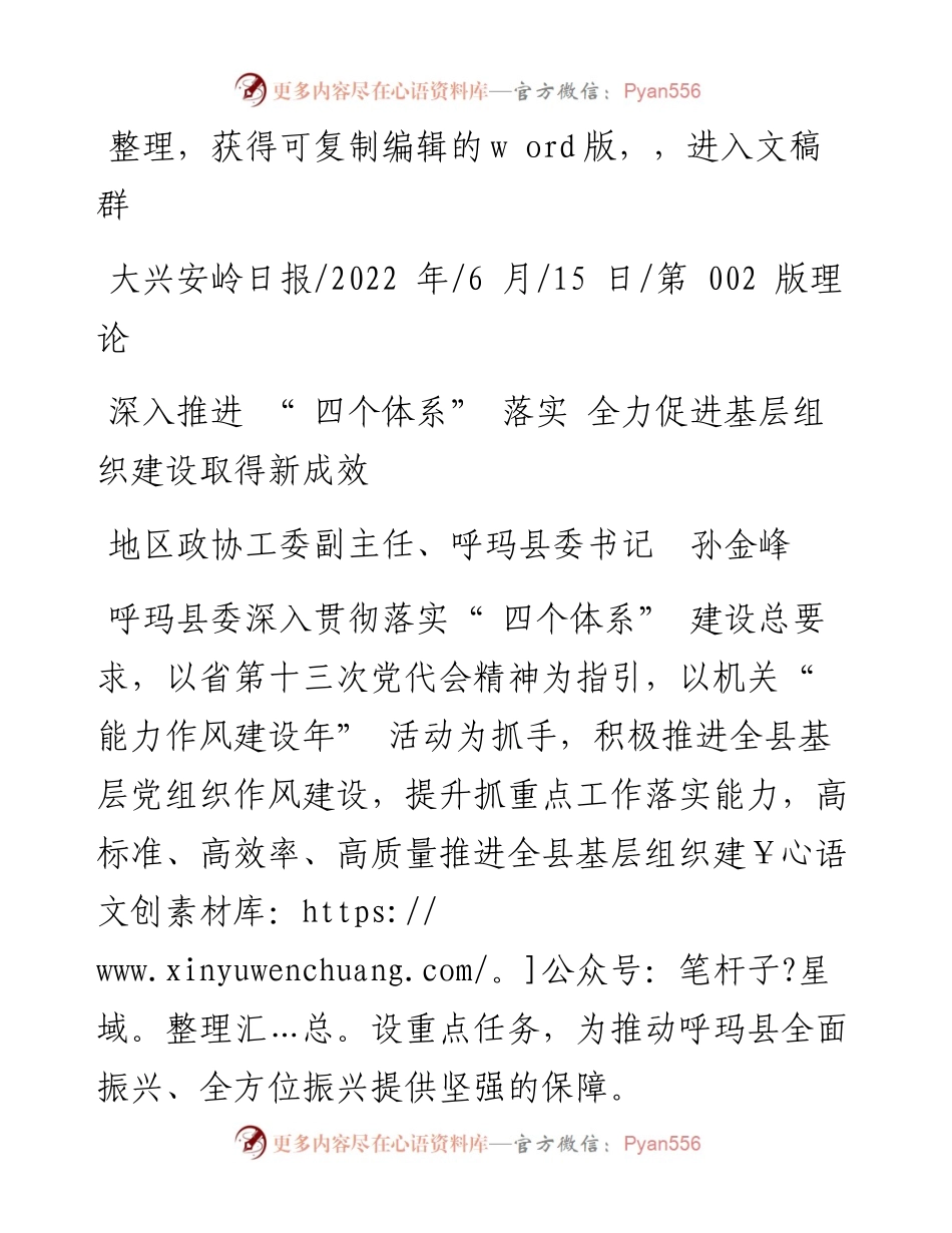 .06.15地区政协工委副主任、呼玛县委书记孙金峰：深入推进四个体系落实全力促进基层组织建设取得新成效.docx_第1页