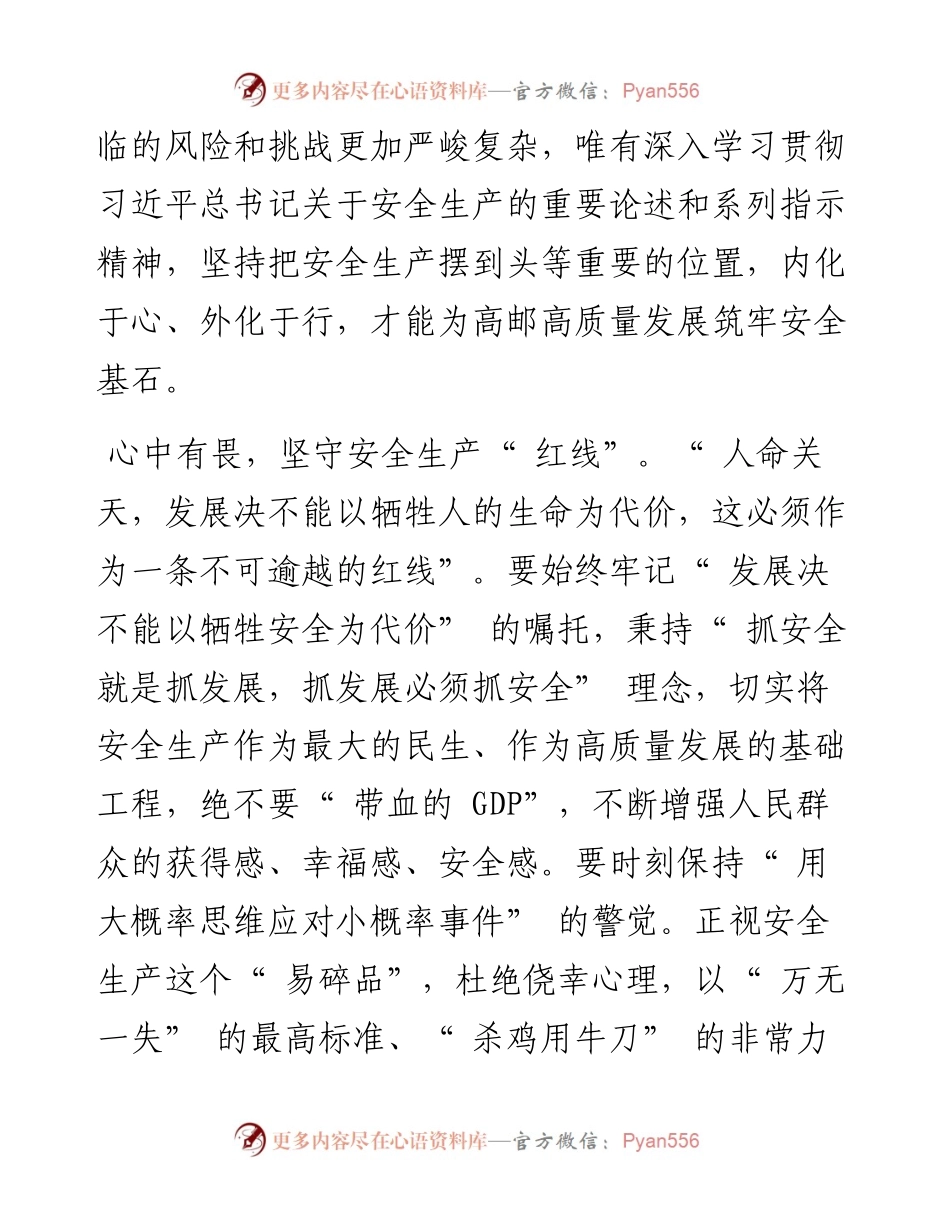 .07.08高邮市市长田醒民：心中有畏肩上有责眼里有活手头有招把好安全四线筑牢发展根基.docx_第2页