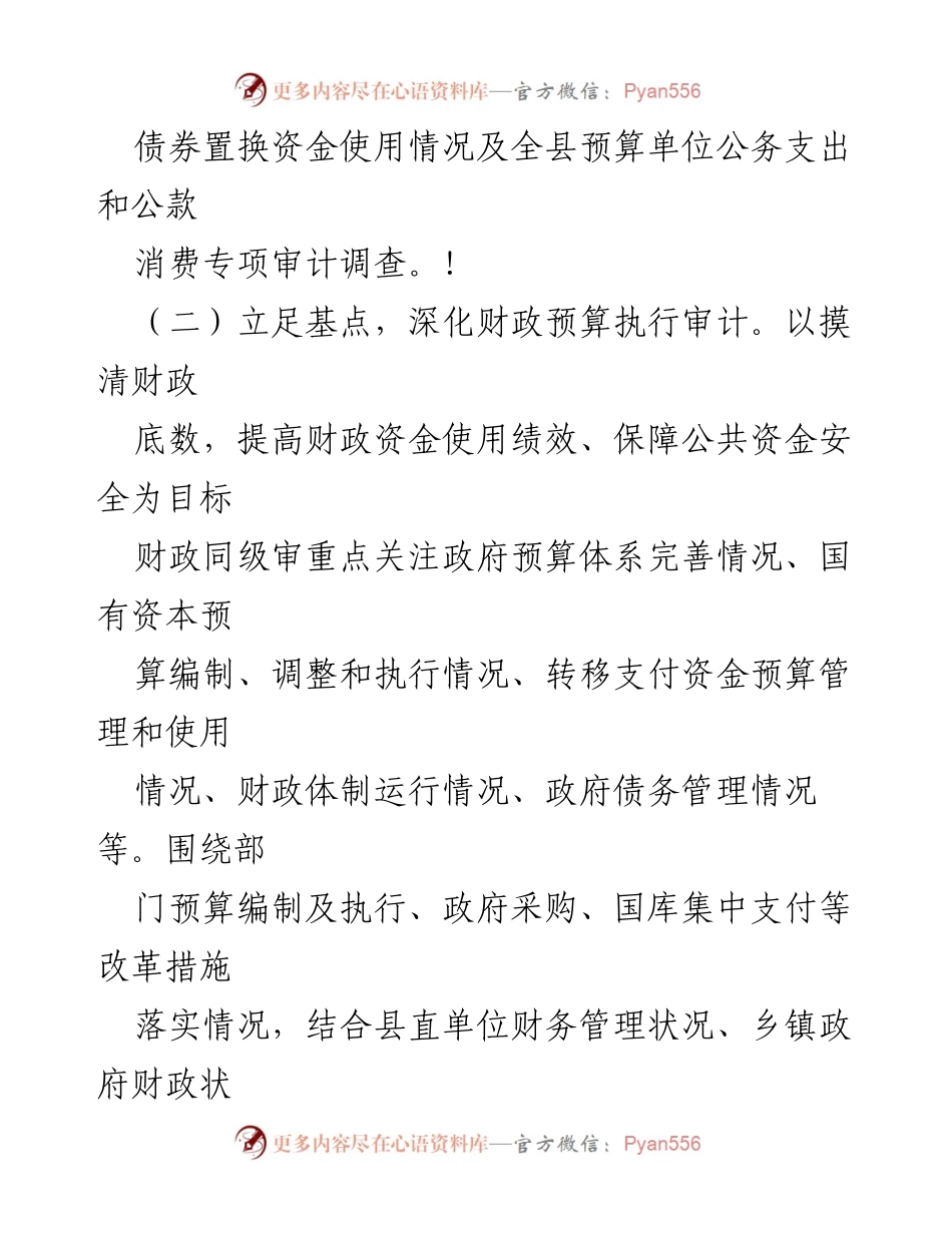 [调研报告] 财政审计 - 债券置换资金使用及公务支出审计调研报告.docx_第1页