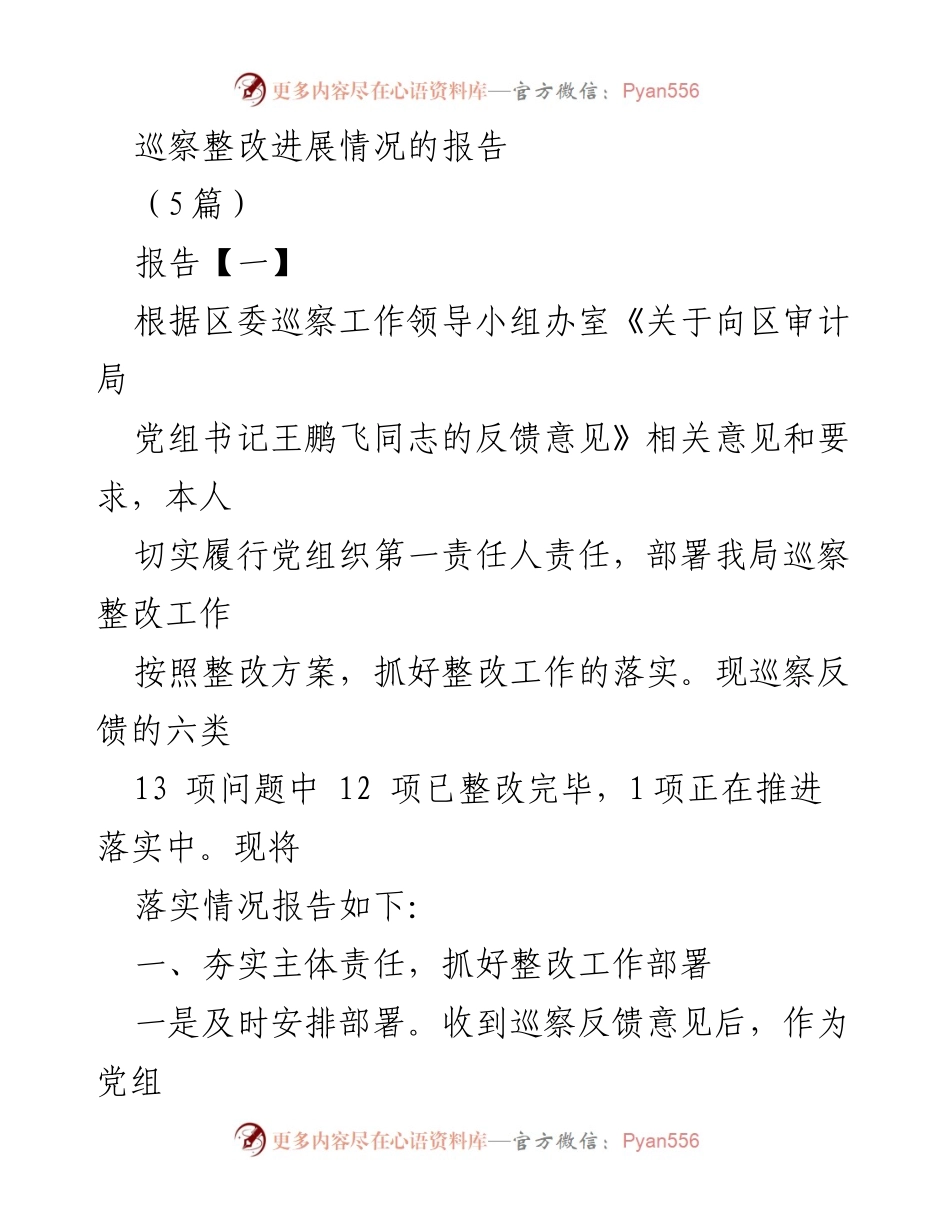[报告] 巡察整改工作 - 巡察整改进展情况报告.docx_第1页
