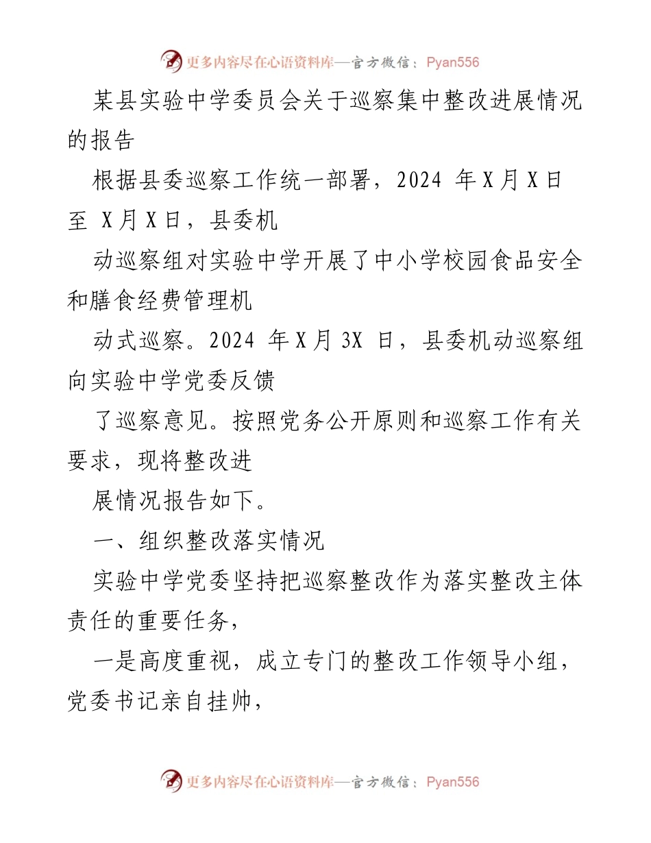 [报告] 巡察整改 - 实验中学巡察整改进展情况报告.docx_第1页