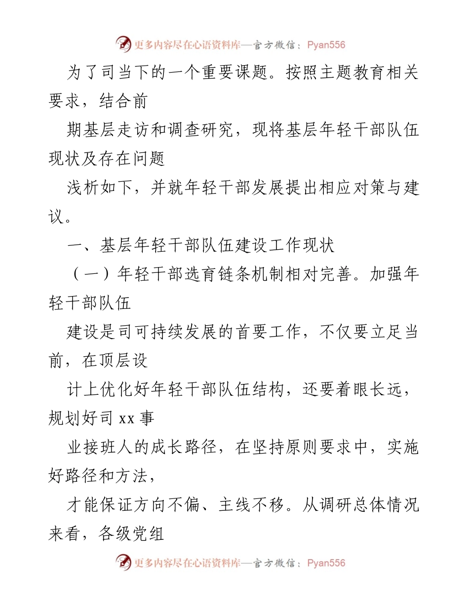 [调研报告] 国企年轻干部队伍建设 - 基层年轻干部队伍现状与发展对策分析.docx_第2页
