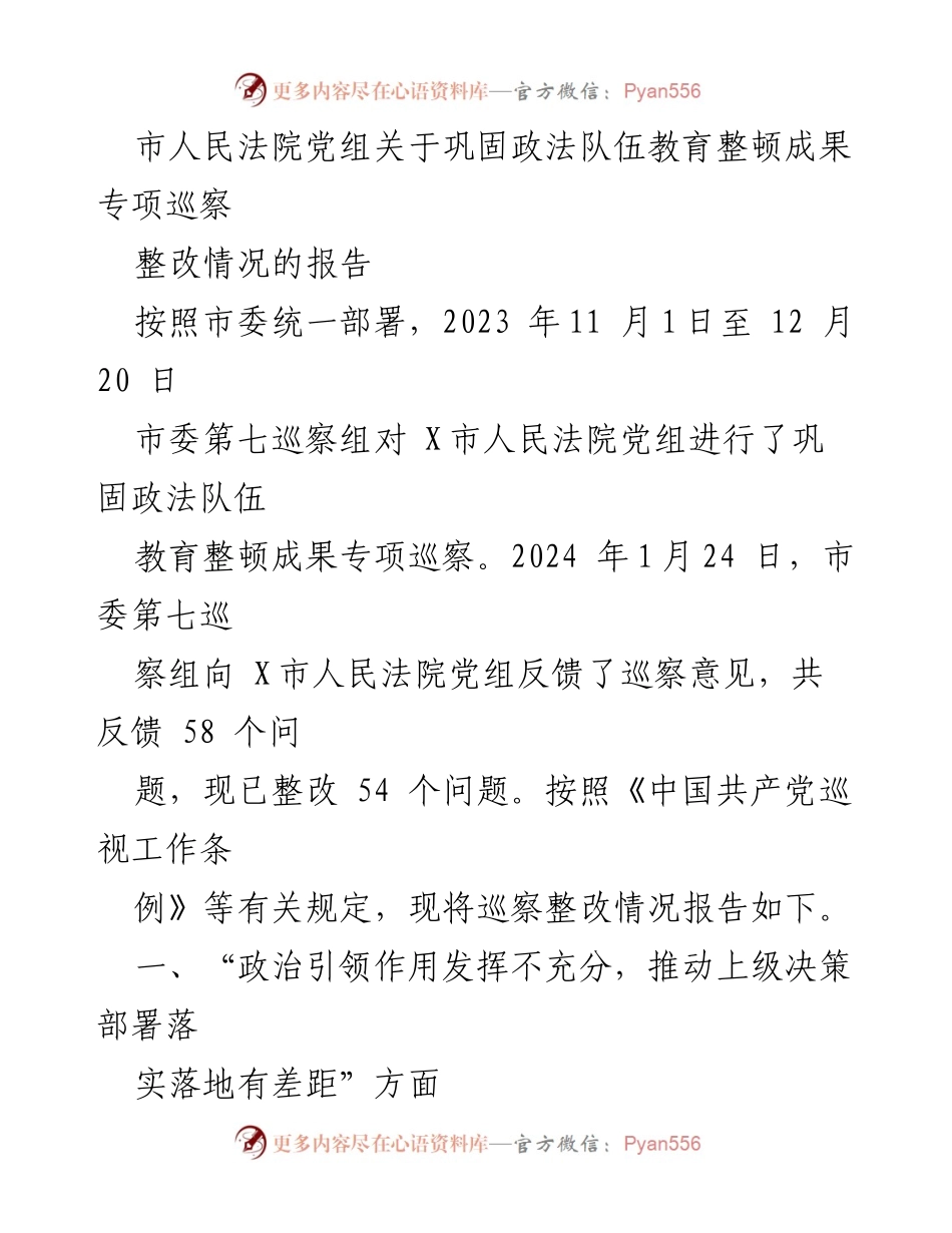 [报告] 巡察整改 - 市人民法院党组巡察整改情况报告.docx_第1页