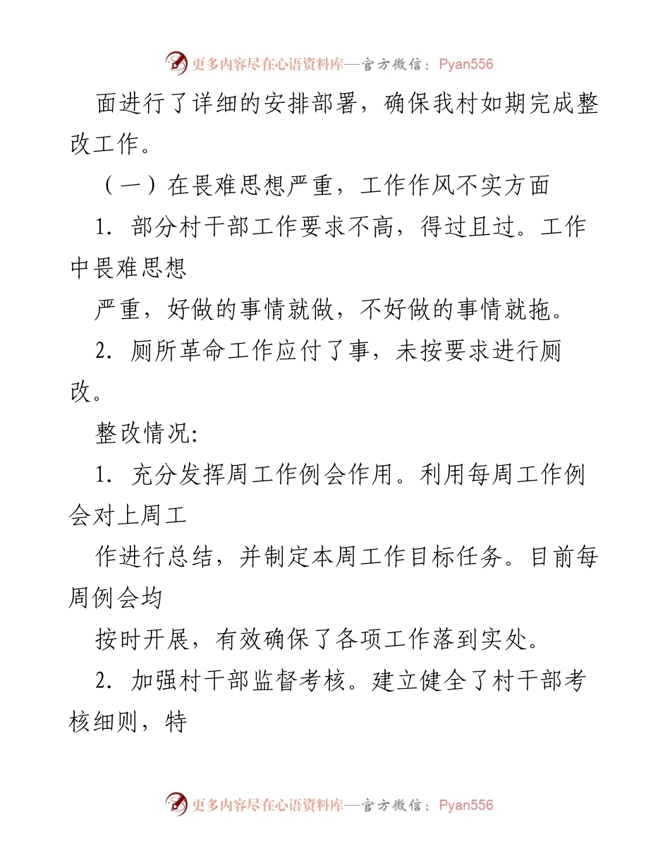 [调研报告] 村级巡察 - 村级巡察整改工作总结与措施分析.docx_第2页