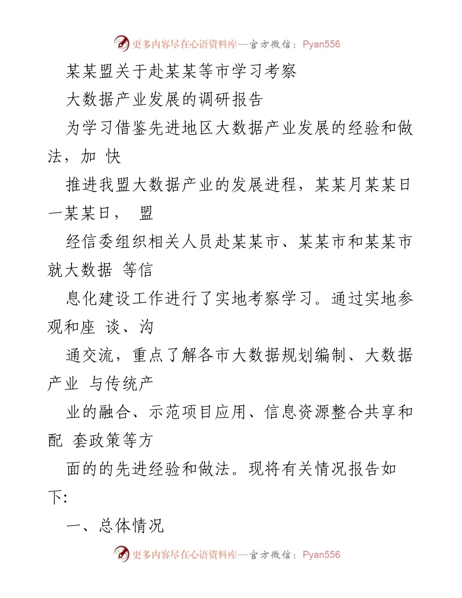 [调研报告] 大数据产业发展考察 - 某某盟赴某某市学习大数据产业发展经验报告.docx_第1页