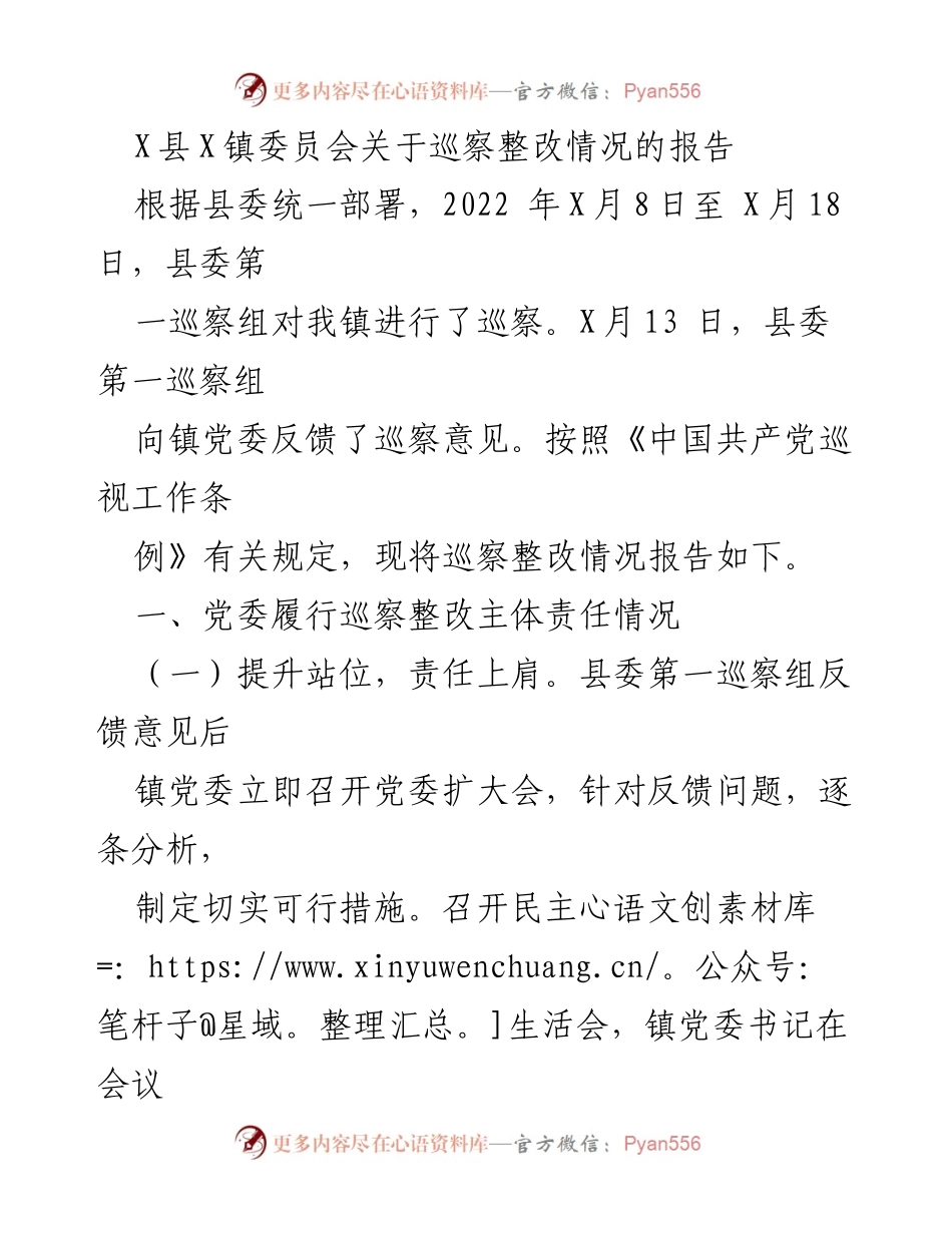 [报告] 巡察整改 - X县X镇巡察整改情况报告.docx_第1页