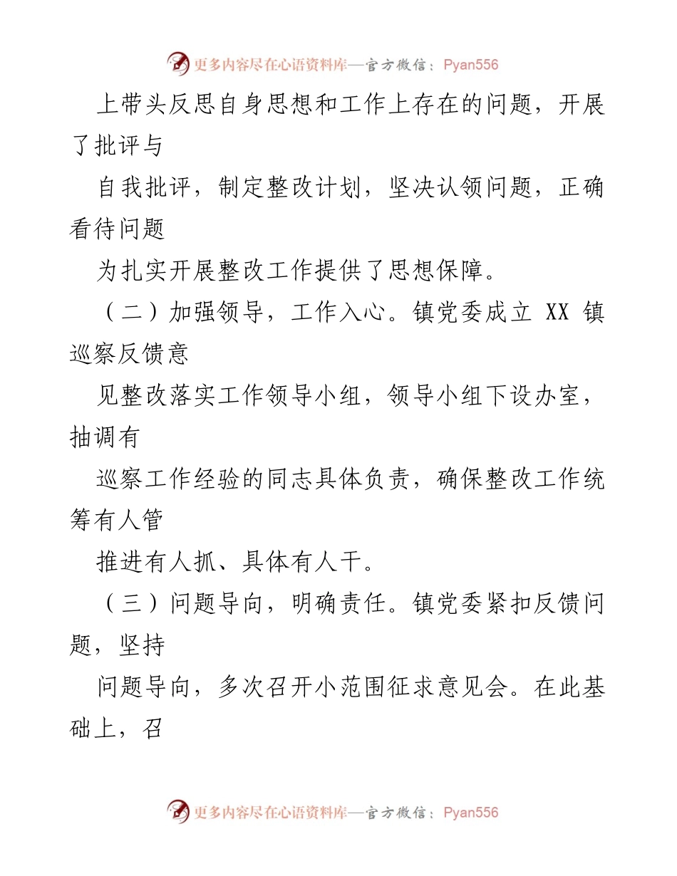[报告] 巡察整改 - X县X镇巡察整改情况报告.docx_第2页