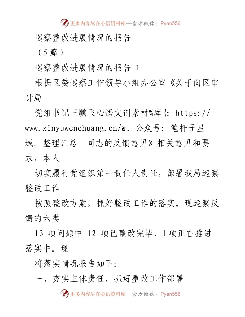 [报告] 巡察整改 - 巡察整改进展情况报告_1.docx_第1页