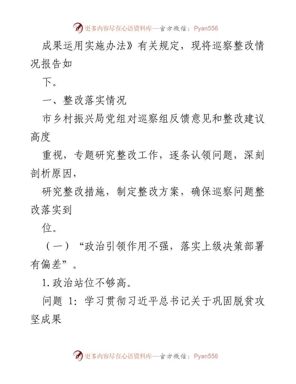 [报告] 巡察整改 - XX市乡村振兴局巡察整改情况报告.docx_第2页