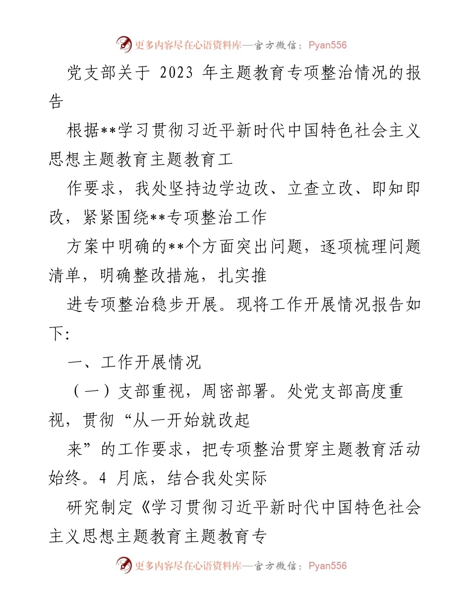 [报告] 党支部 - 2023年主题教育专项整治工作开展情况报告.docx_第1页