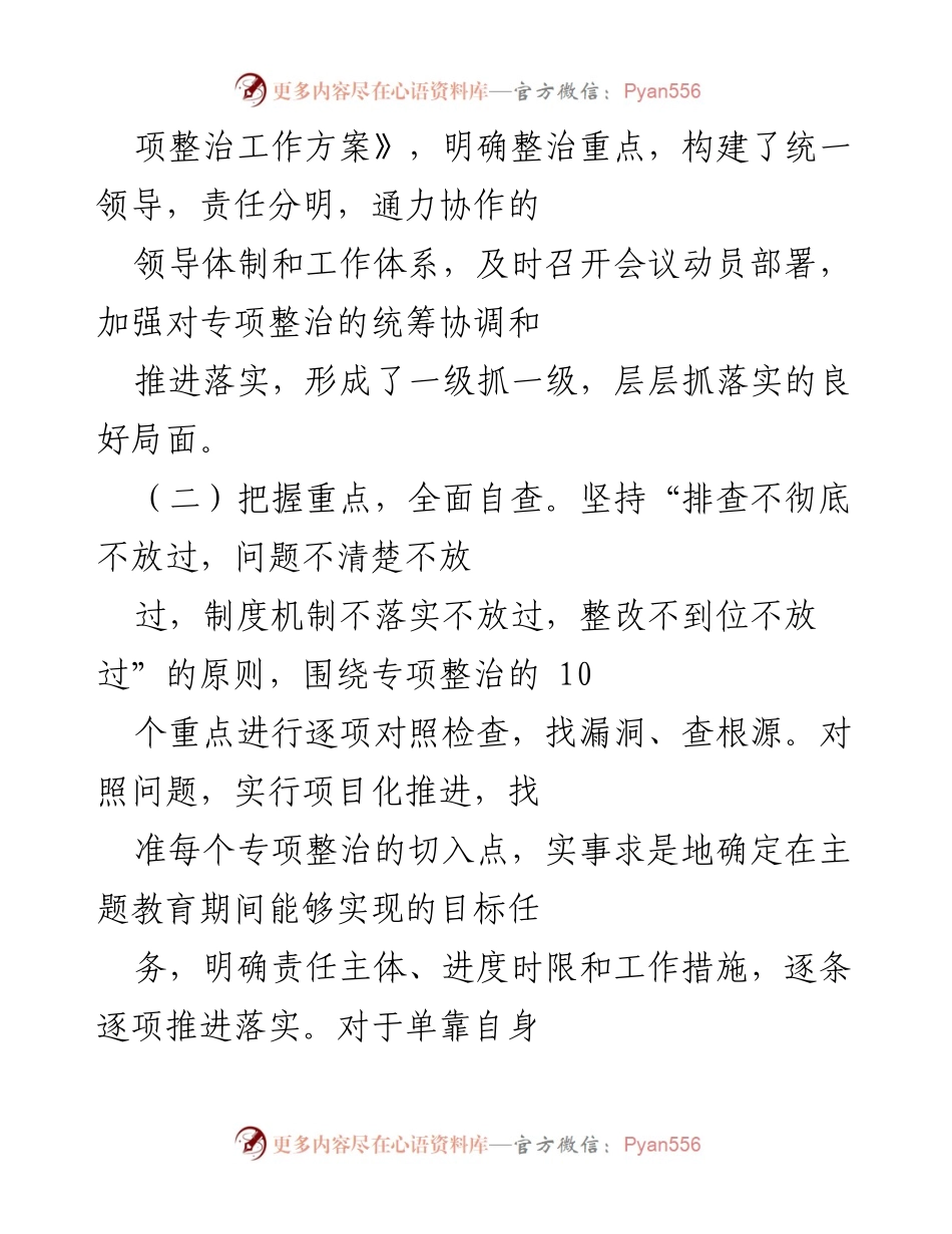 [报告] 党支部 - 2023年主题教育专项整治工作开展情况报告.docx_第2页