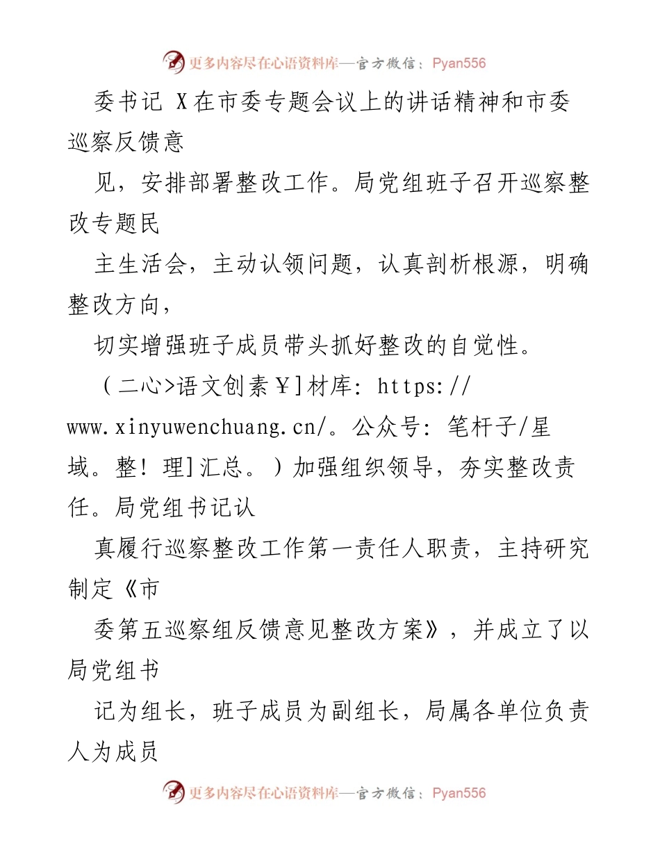 [报告] 巡察整改 - X市财政局党组巡察整改进展情况报告.docx_第2页