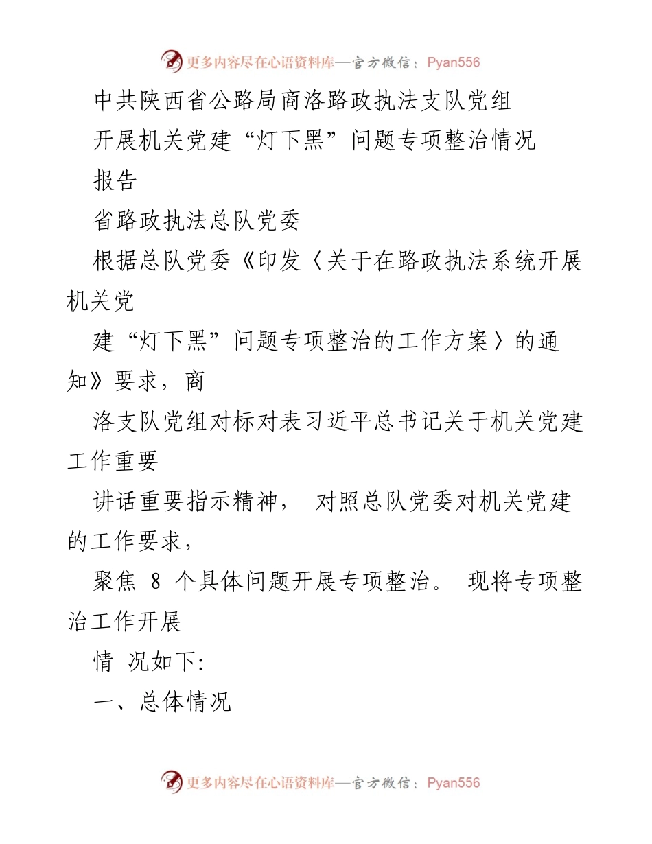 [报告] 机关党建整治 - 中共陕西省公路局商洛路政执法支队机关党建“灯下黑”问题专项整治情况报告.docx_第1页