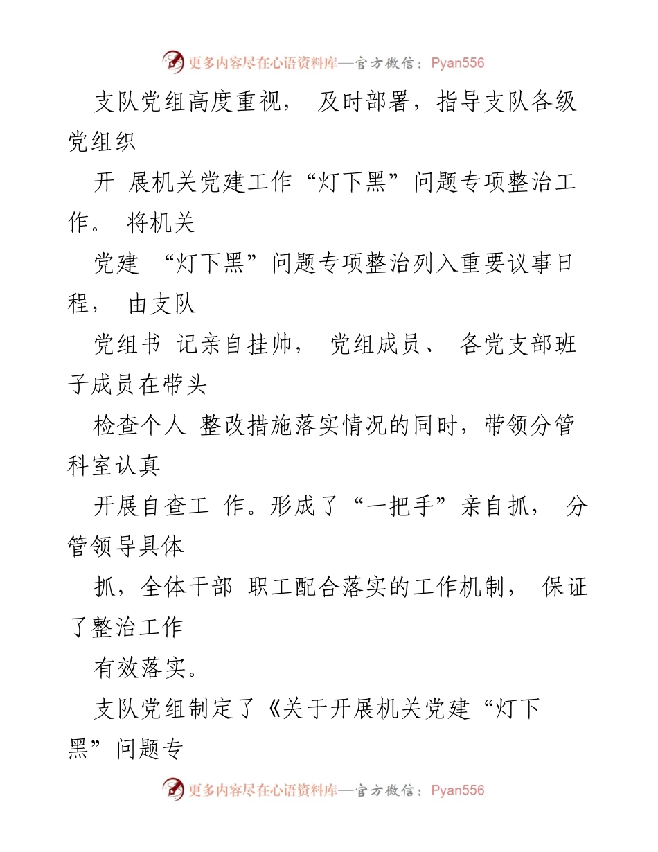 [报告] 机关党建整治 - 中共陕西省公路局商洛路政执法支队机关党建“灯下黑”问题专项整治情况报告.docx_第2页
