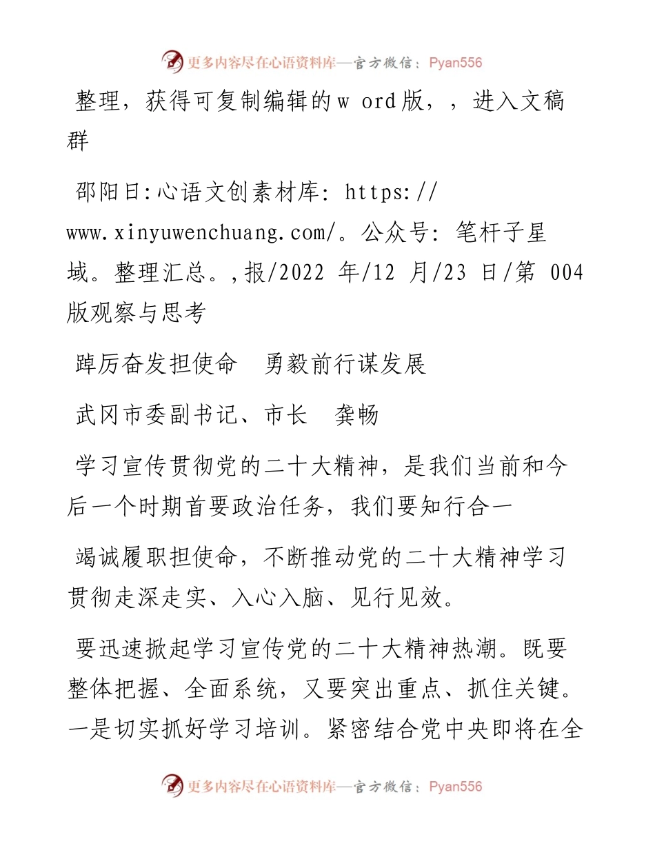 .12.23武冈市委副书记、市长龚畅：踔厉奋发担使命勇毅前行谋发展.docx_第1页