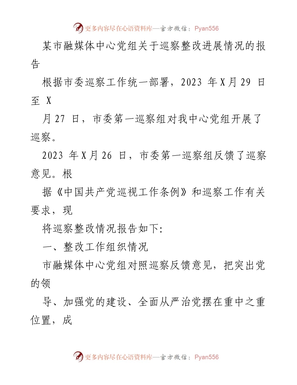 [报告] 巡察整改 - 某市融媒体中心巡察整改进展情况报告.docx_第1页
