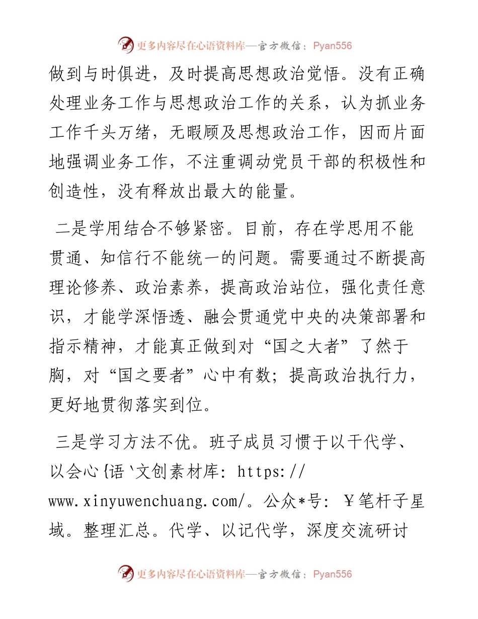 (12条)在2023年主题教育班子对照检查查摆问题清单.docx_第2页