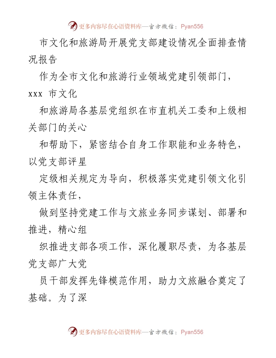 [调研报告] 党建工作 - 市文化和旅游局党支部建设情况全面排查报告.docx_第1页