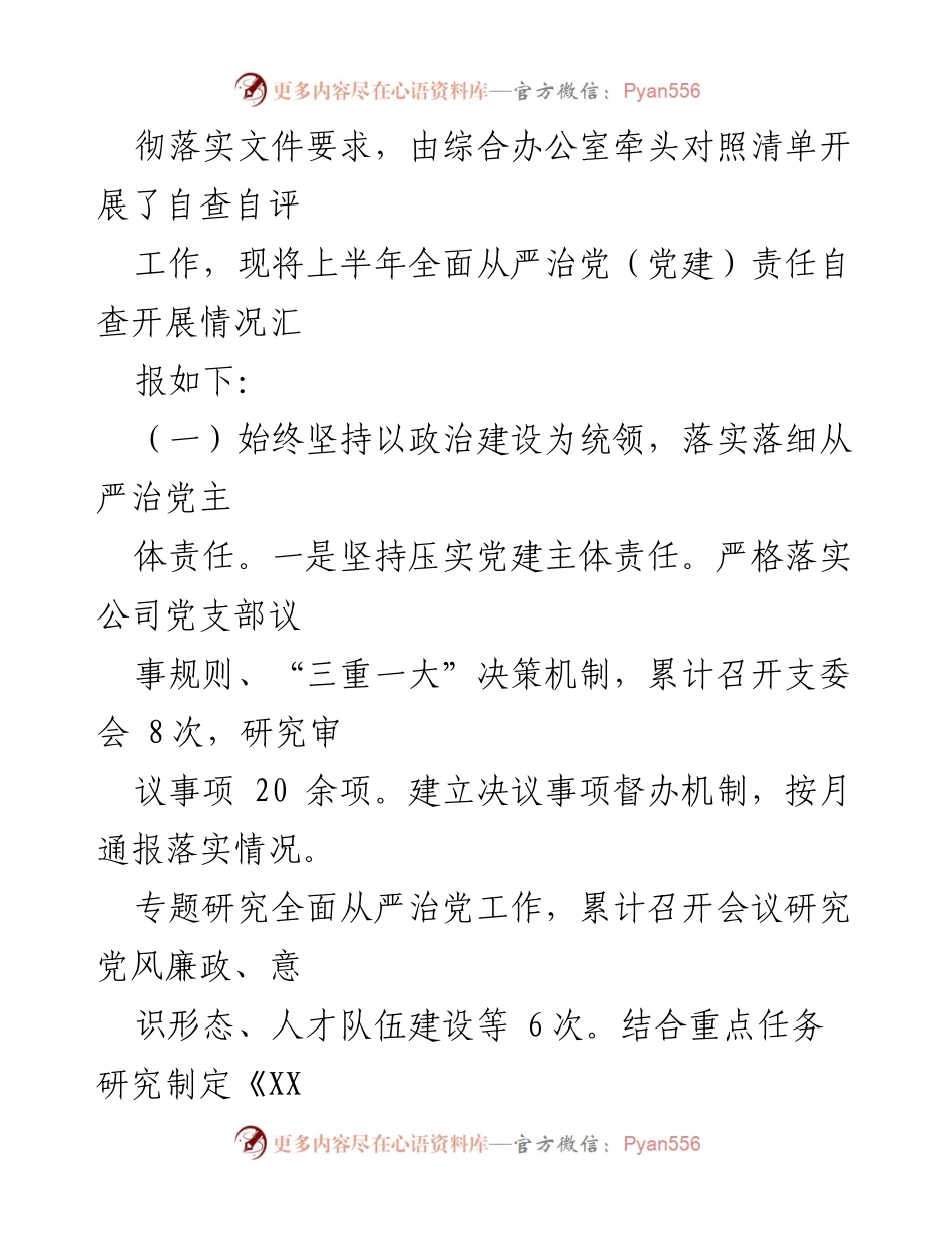 [报告] 国企党支部 - 2023年全面从严治党责任落实年中自查情况汇报.docx_第2页