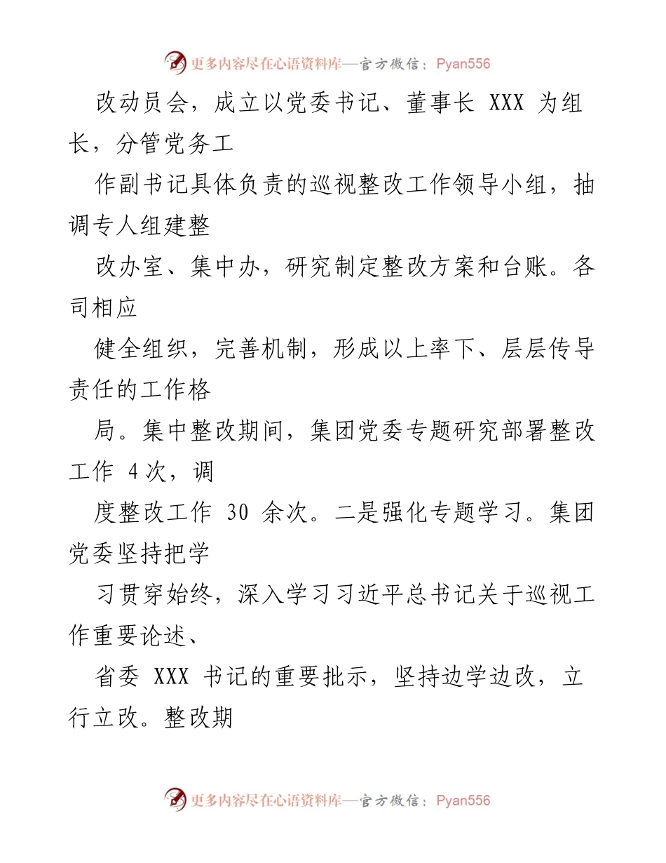 [报告] 巡视整改 - XX集团巡视整改情况报告.docx_第2页