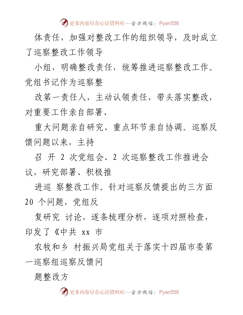 [报告] 巡察整改 - 市农牧和乡村振兴局巡察整改落实情况报告.docx_第2页