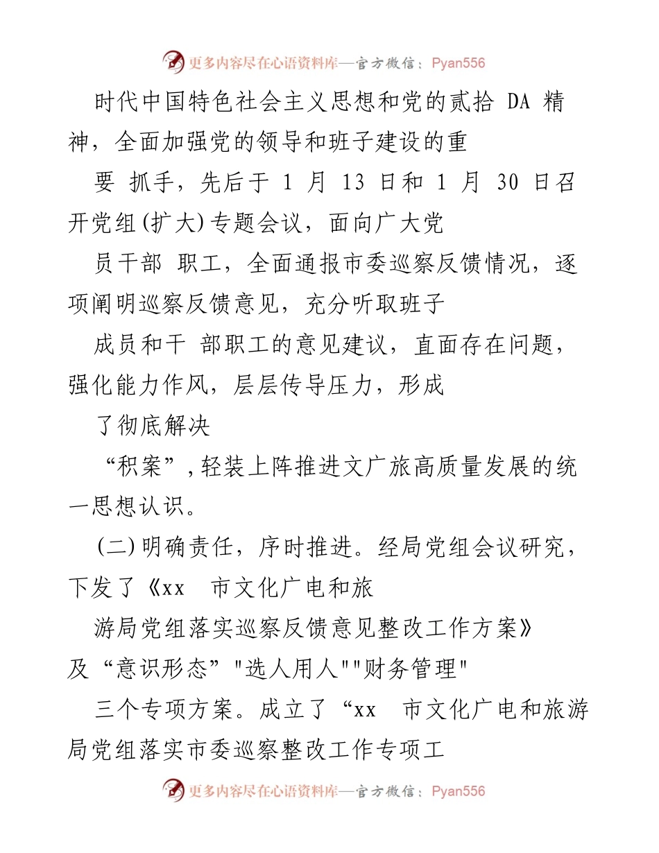 [报告] 巡察整改 - 市文化广电和旅游局党组巡察整改进展情况报告.docx_第2页
