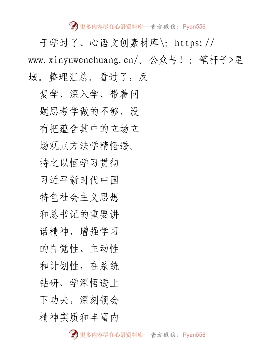[查摆问题清单] 党支部工作 - 支部书记个人问题检视与整改措施报告.docx_第2页