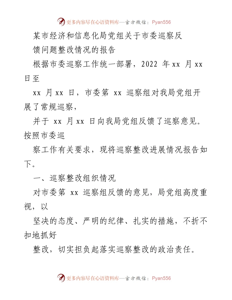 [报告] 巡察整改 - 某市经济和信息化局巡察反馈问题整改情况报告.docx_第1页