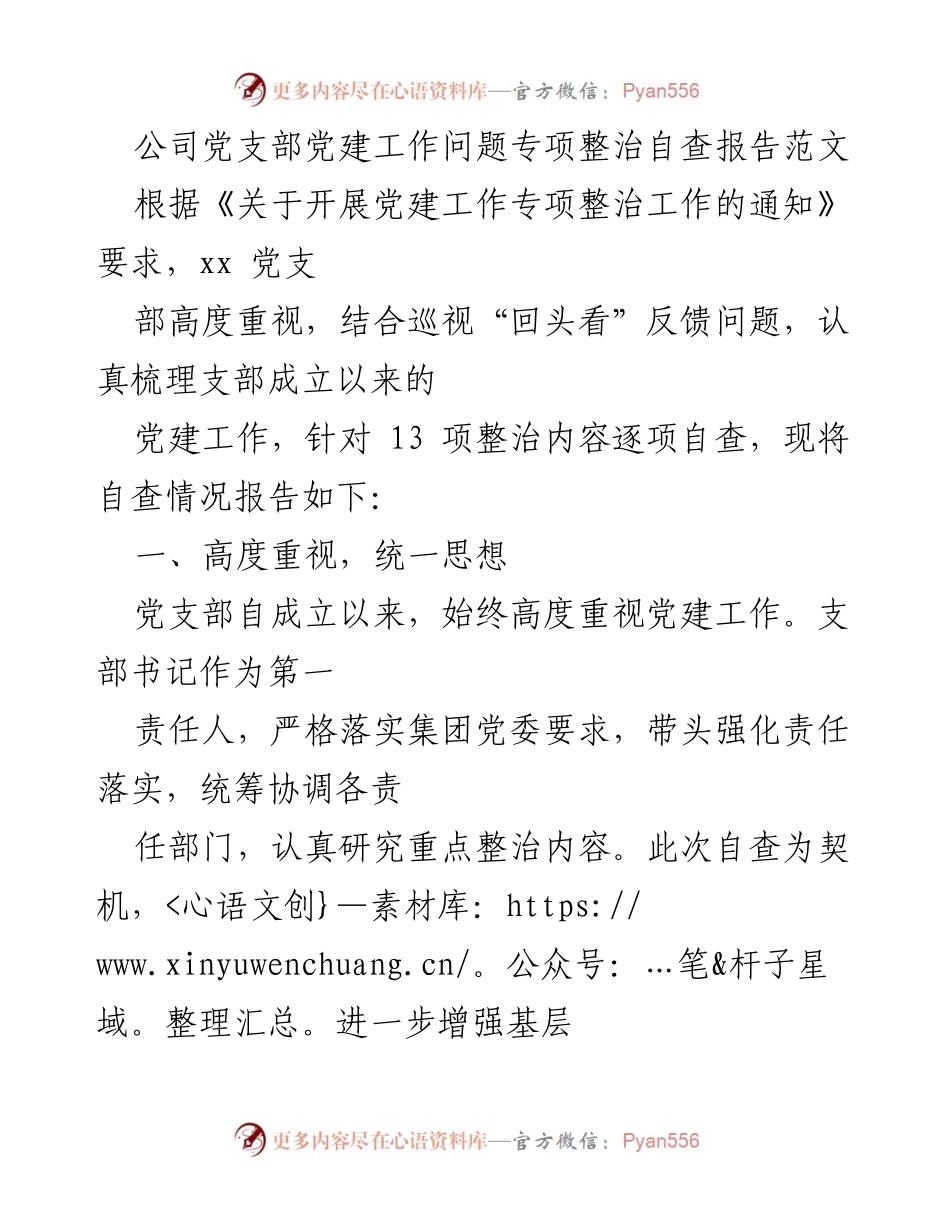 [调研报告] 党建工作专项整治 - 公司党支部党建工作自查报告总结.docx_第1页