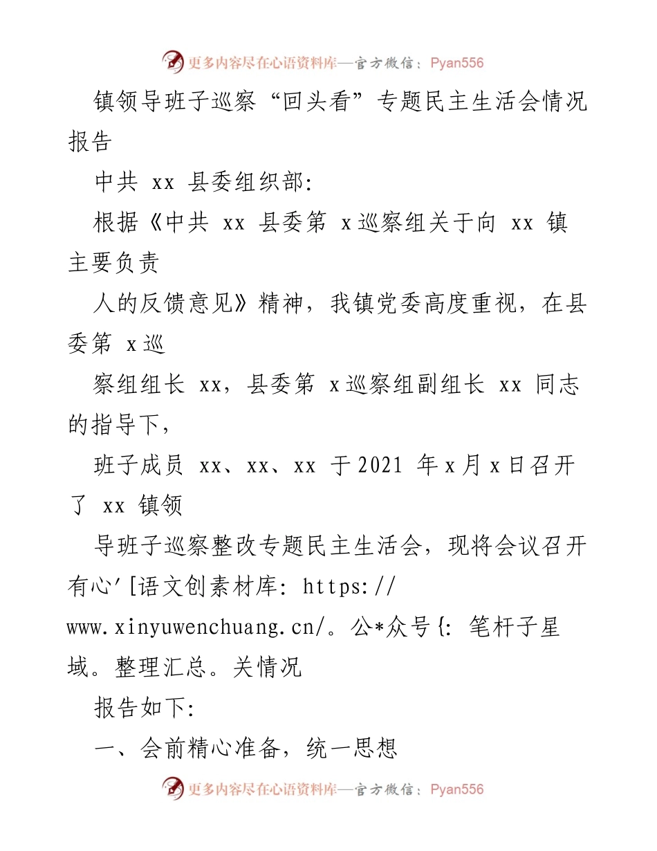 [报告] 巡察整改 - 镇领导班子巡察整改专题民主生活会情况报告.docx_第1页
