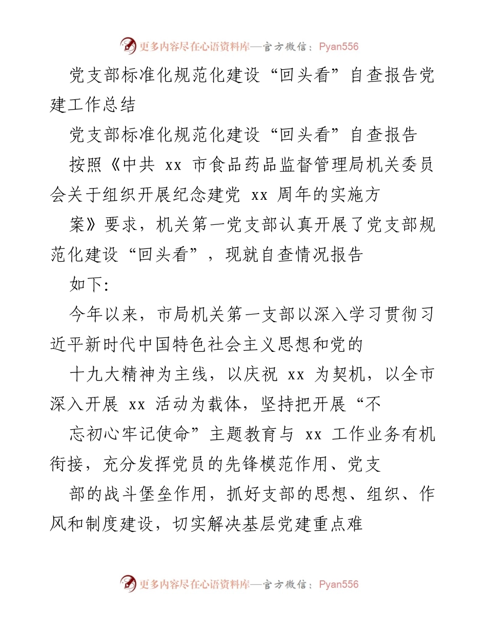 [调研报告] 党建工作 - 党支部标准化建设自查报告总结.docx_第1页