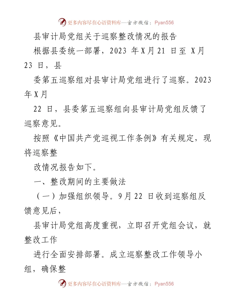 [报告] 巡察整改 - 县审计局党组巡察整改情况报告.docx_第1页
