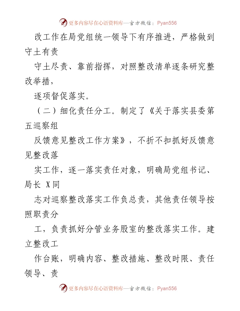 [报告] 巡察整改 - 县审计局党组巡察整改情况报告.docx_第2页