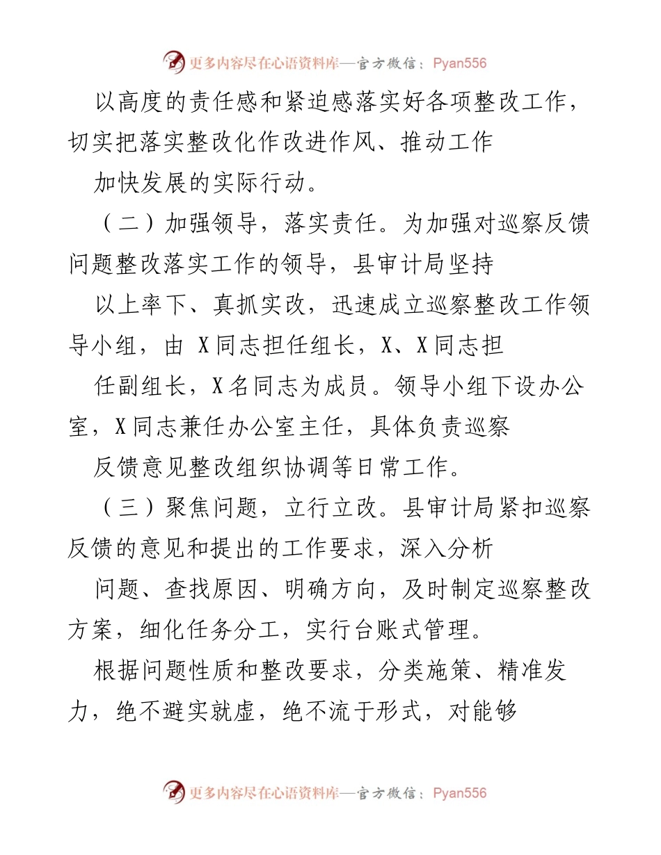 [报告] 巡察整改 - XX县审计局巡察整改评估报告.docx_第2页