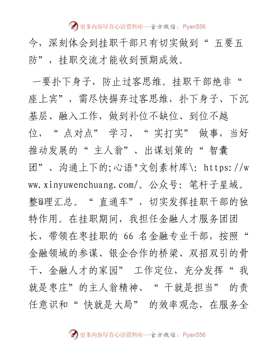 .12.26山东省枣庄市人民政府副市长左文：挂职干部的五要五防.docx_第2页