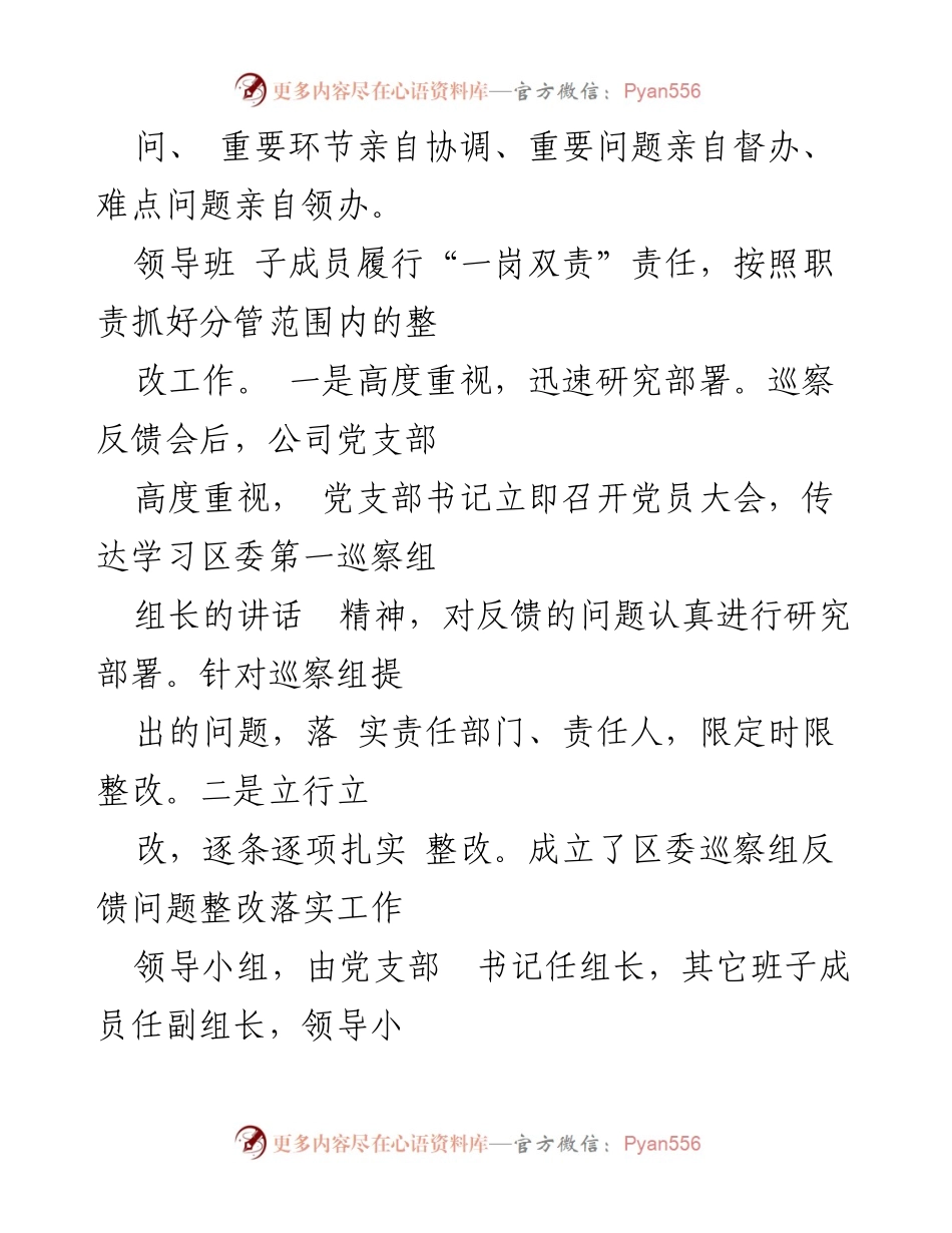[报告] 自来水公司党支部 - 巡察整改进展情况报告.docx_第2页