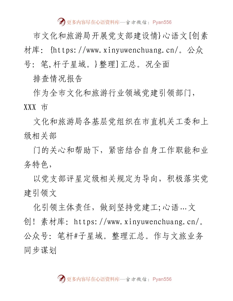 [调研报告] 党支部建设 - 市文化和旅游局党支部建设情况全面排查报告.docx_第1页