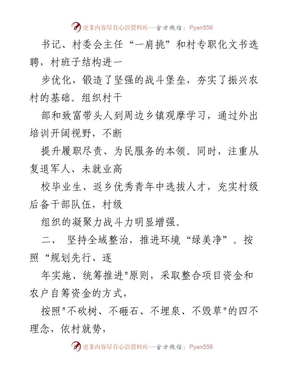 [案例材料] 乡村治理 - _市_县_镇_村乡村治理典型案例分析.docx_第2页