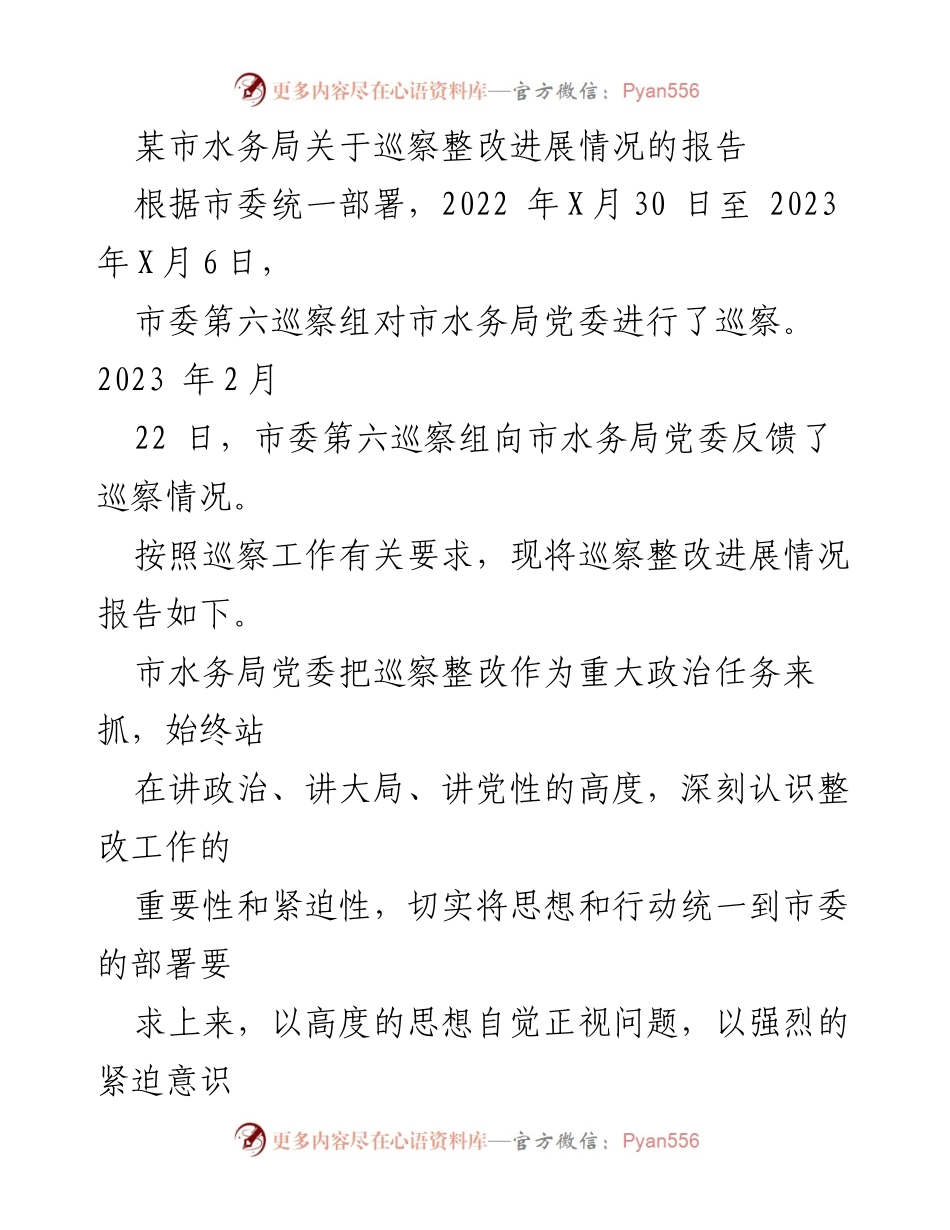 [报告] 巡察整改 - 市水务局巡察整改进展情况报告.docx_第1页