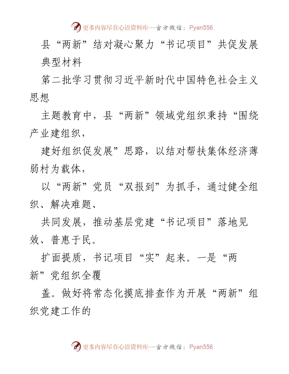 [典型材料] 党建工作会议 - 县“两新”领域党组织推动基层党建“书记项目”落地见效.docx_第1页